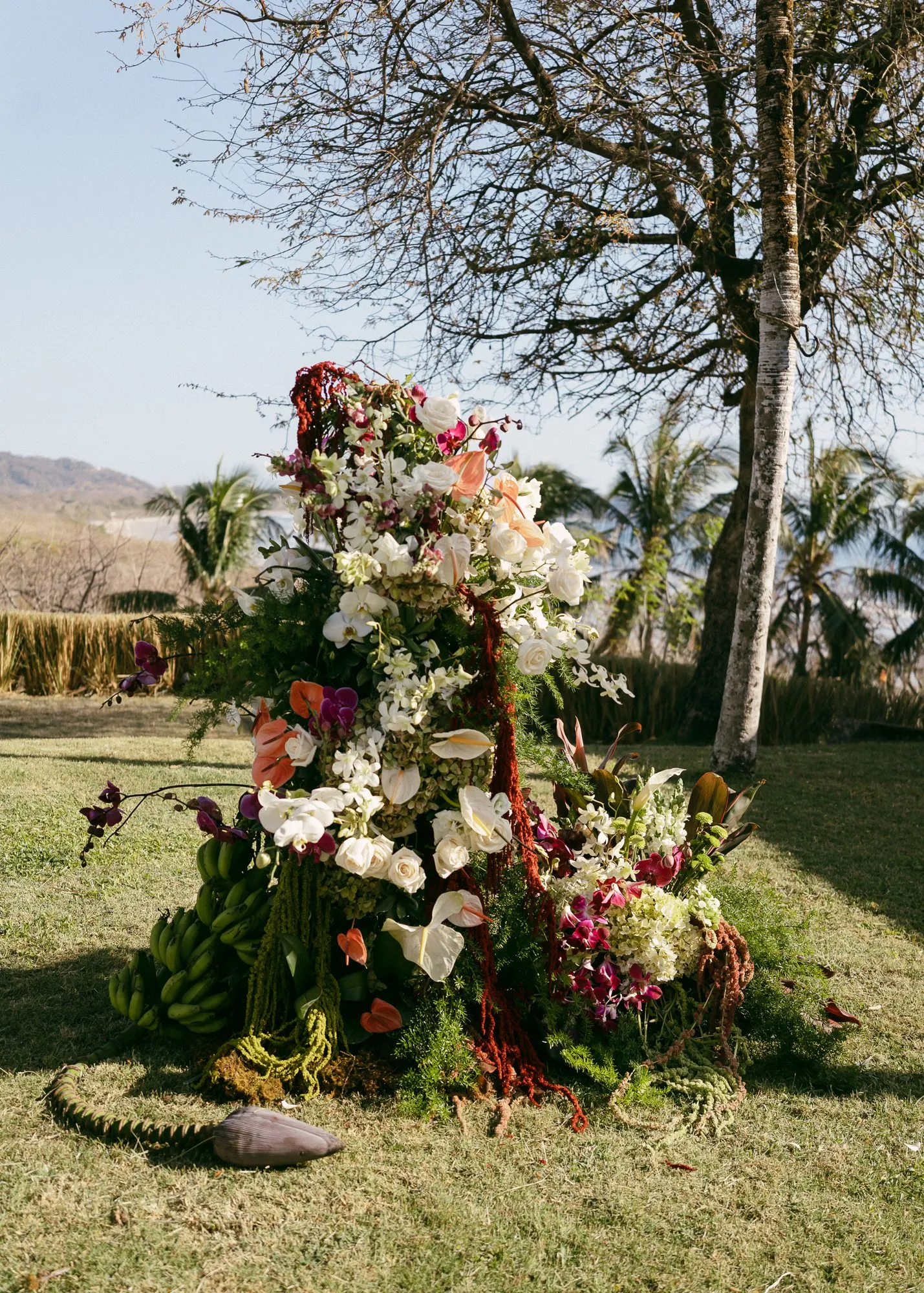 Olivia & Brian, destination wedding in Nosara, Costa Rica — photo 2