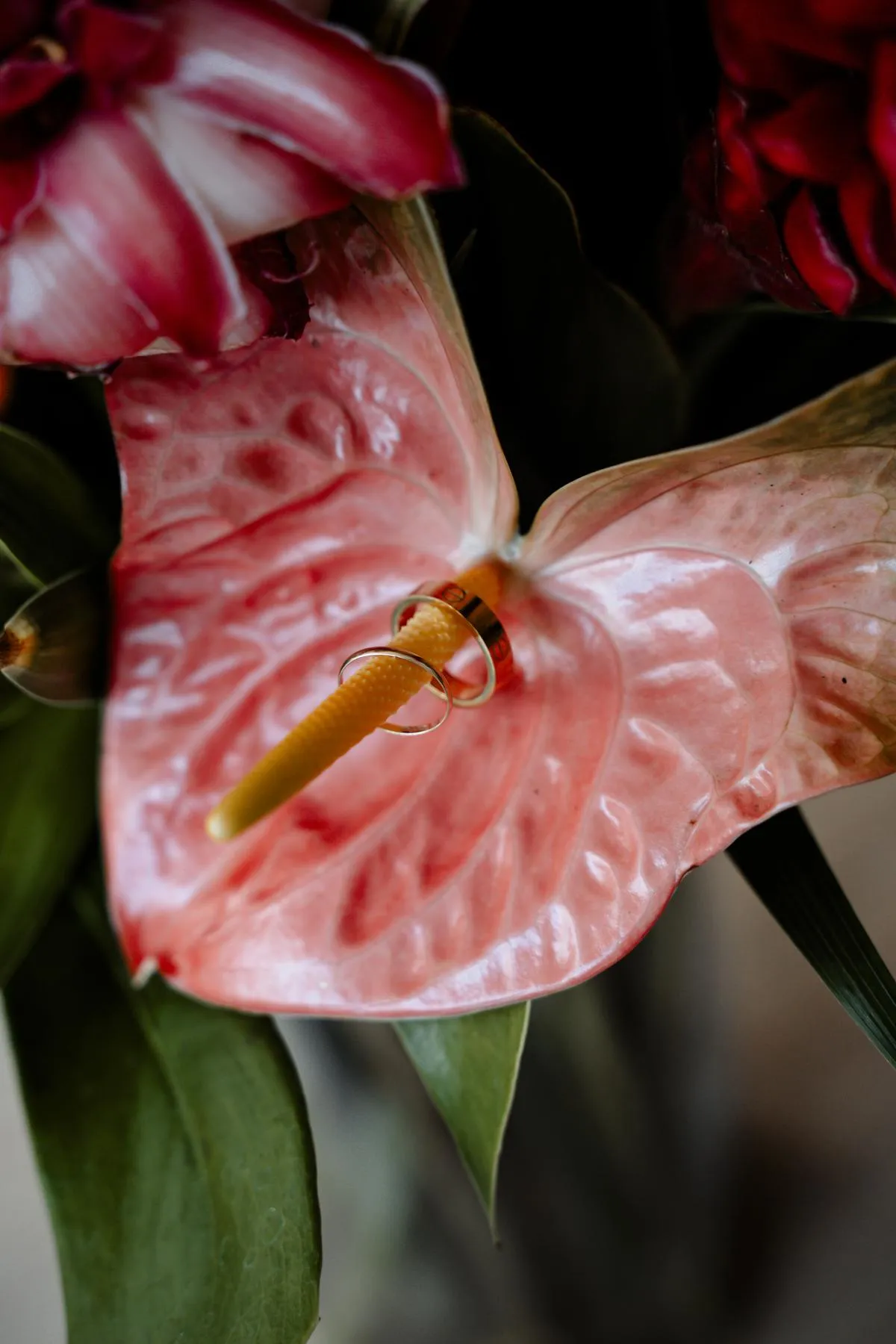 Lena & Chris, destination wedding in Nosara, Costa Rica — photo 3