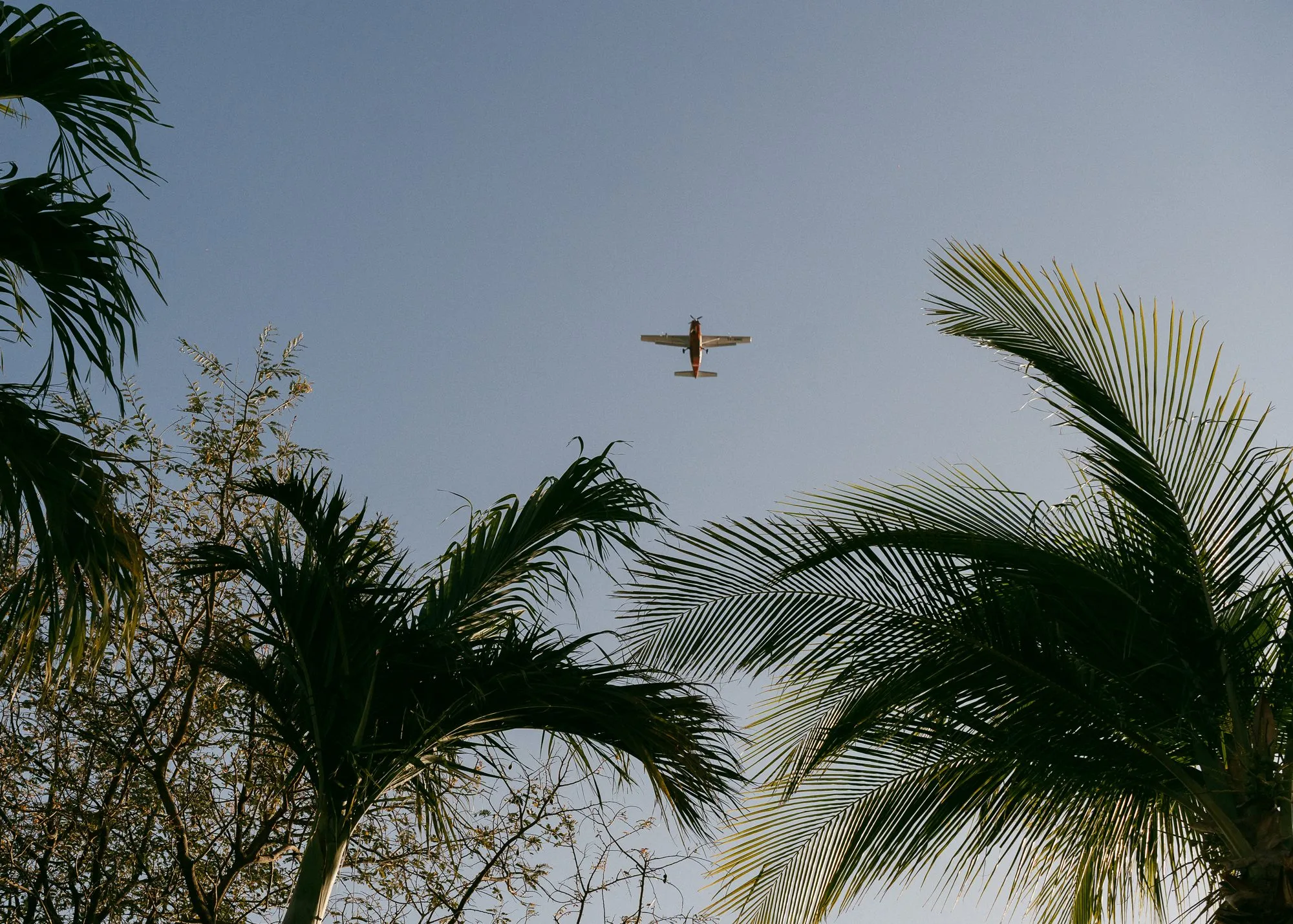 Olivia & Brian, destination wedding in Nosara, Costa Rica — photo 3