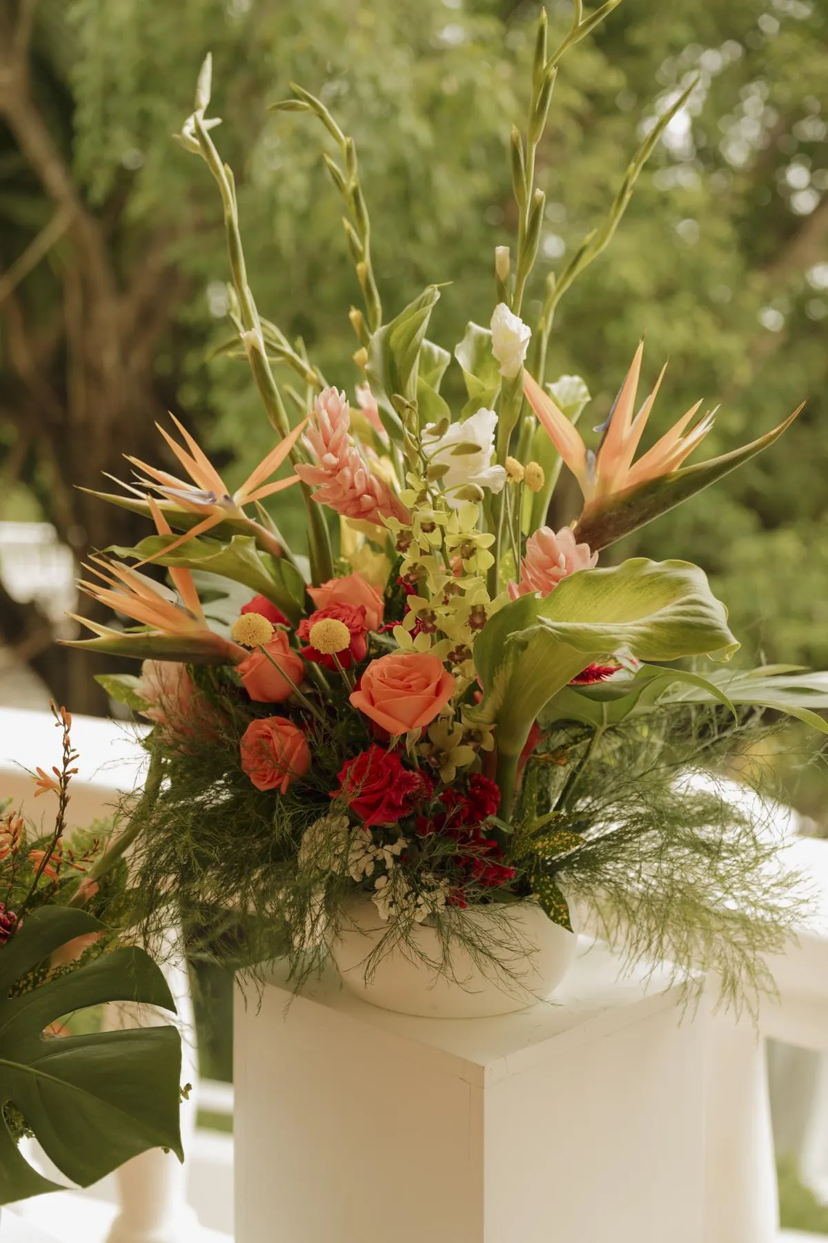 Jenn & Matt, destination wedding in Nosara, Costa Rica — photo 3