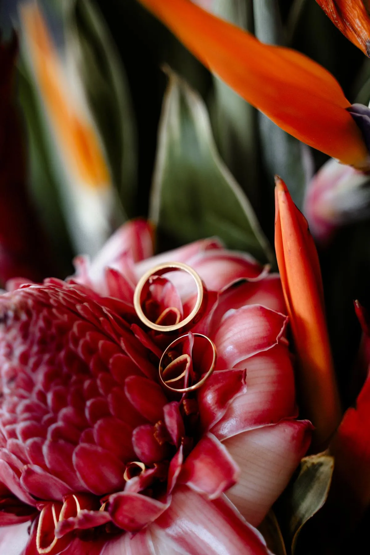 Lena & Chris, destination wedding in Nosara, Costa Rica — photo 4