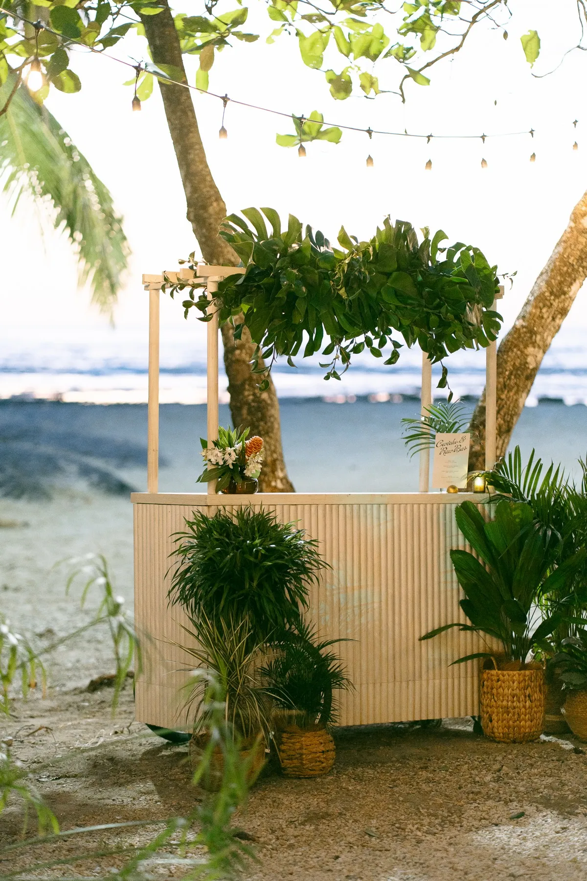 Emilie & Scott, destination wedding in Nosara, Costa Rica — photo 13