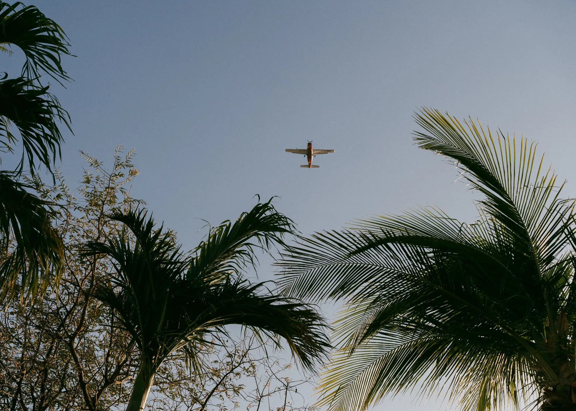 A small plane arriving over the palms, guests traveling to a Nosara wedding